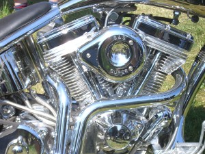 mikaels-bilder-varen-2008-025 mikaels-bilder-varen-2008-025